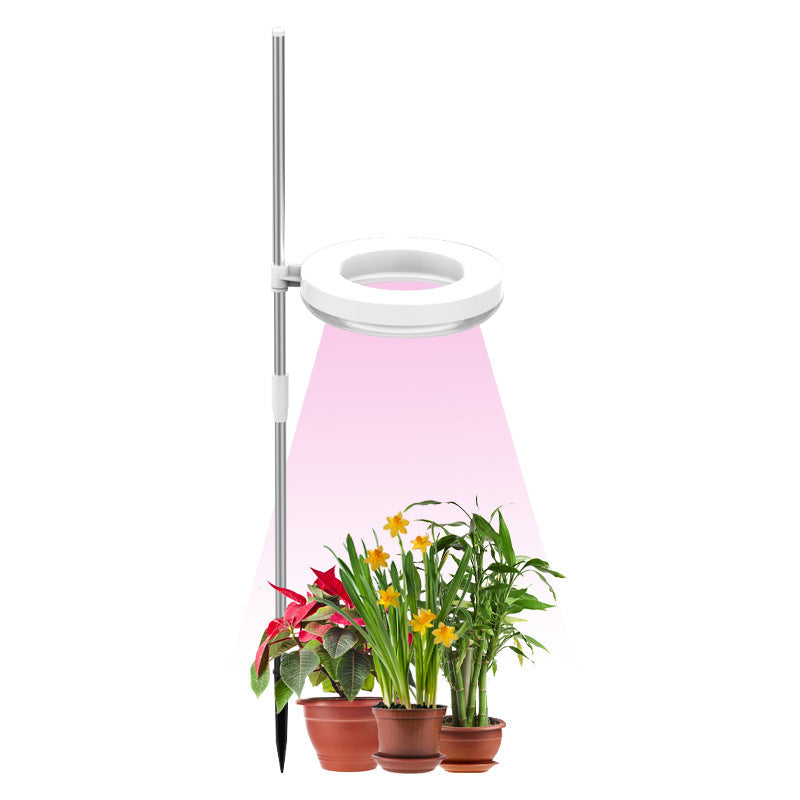 Home Office Desk Flower And Plant Growth LampProduct information


 Life: 50000 (H)
 
 Shell material: PC
 
 Power: Single-head color light, double-head color light, single-head sunlight, double-head sunlight (Home Office Desk Flower