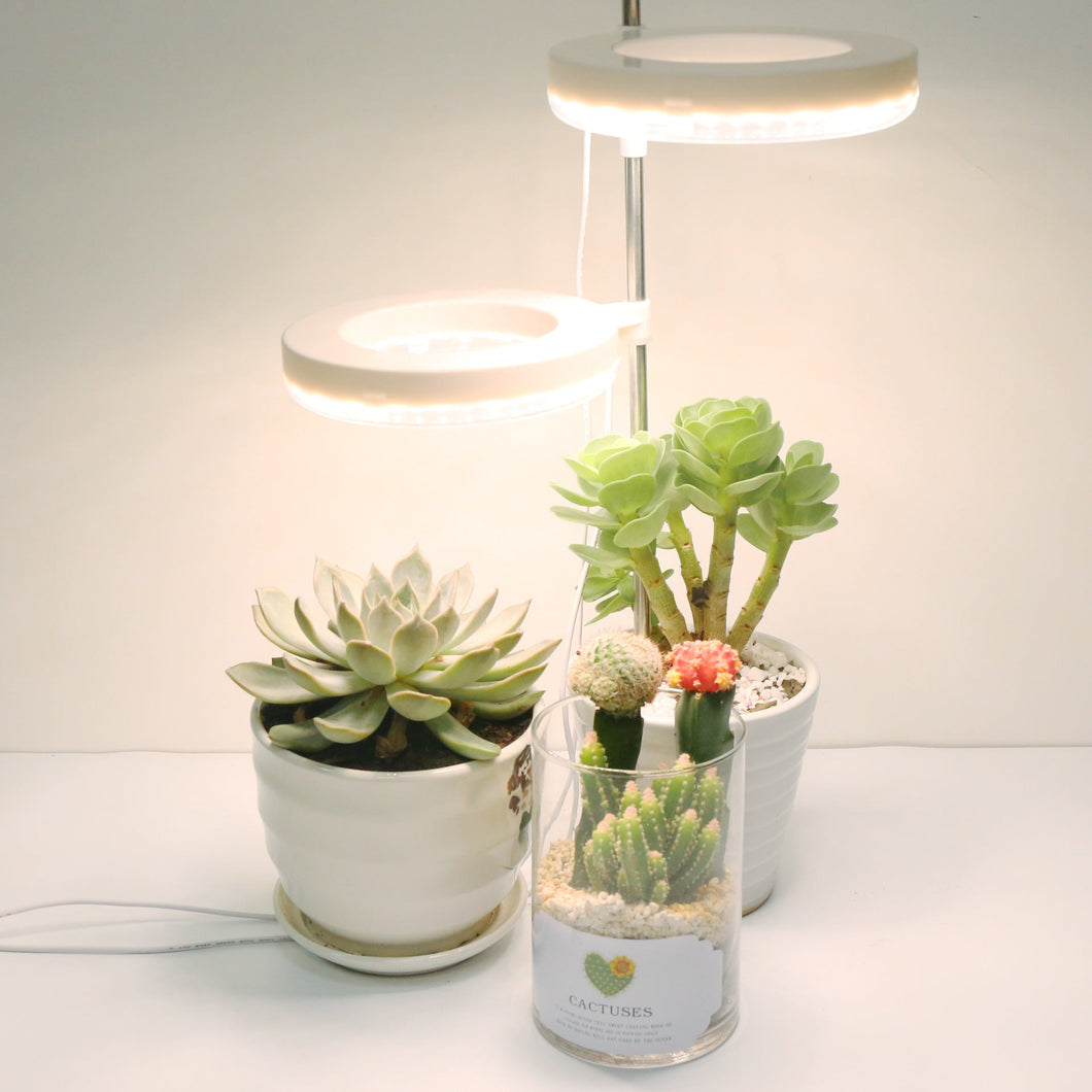 HoFloweme Office Desk Flower And Plant Growth LampProduct information Life: 50000 (H)  Shell material: PC  Power: Single-head color light, double-head color light, single-head sunlight, double-head sunlight (Home Office Desk Flower