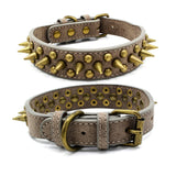 Bronze pointed rivet pet collar